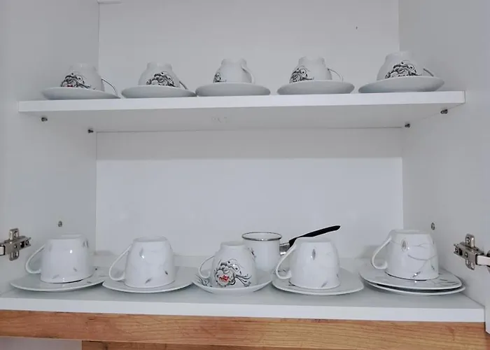 Dzejda * ノヴィ・パザル